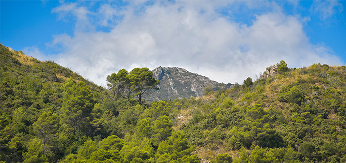 Guía de Ojén -Un impresionante paisaje de montaña ... el hogar de una vasta finca propiedad de Julio Iglesias