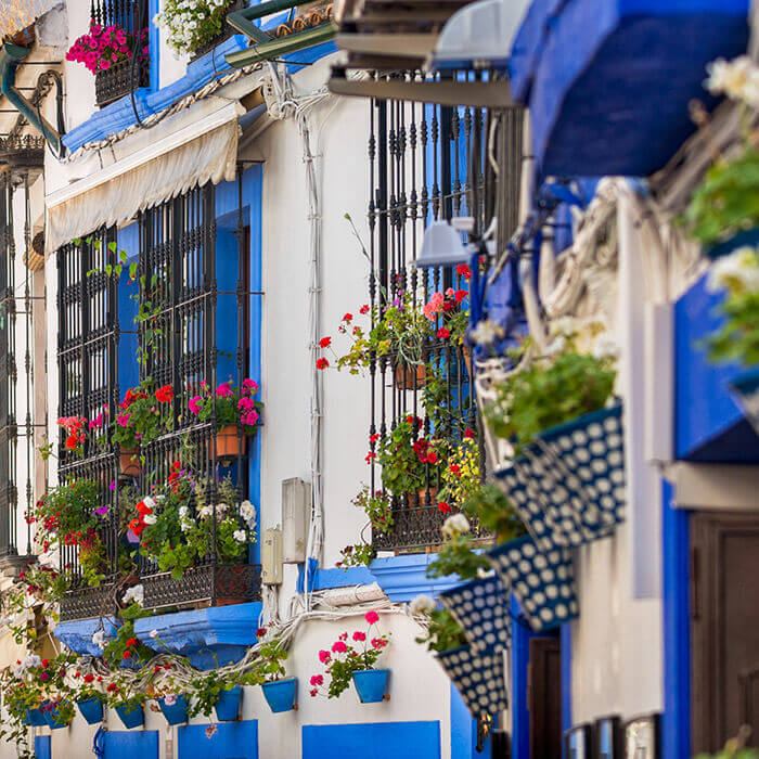 Guía de Córdoba - Atractivos muros decorados con flores colgantes