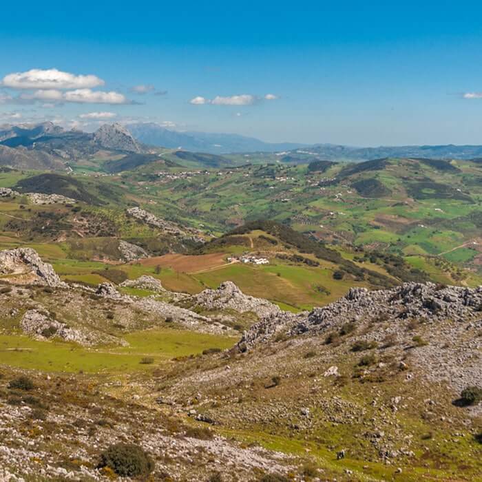 Guía de Ronda. Espectacular paisaje de la Sierra de Grazalema.